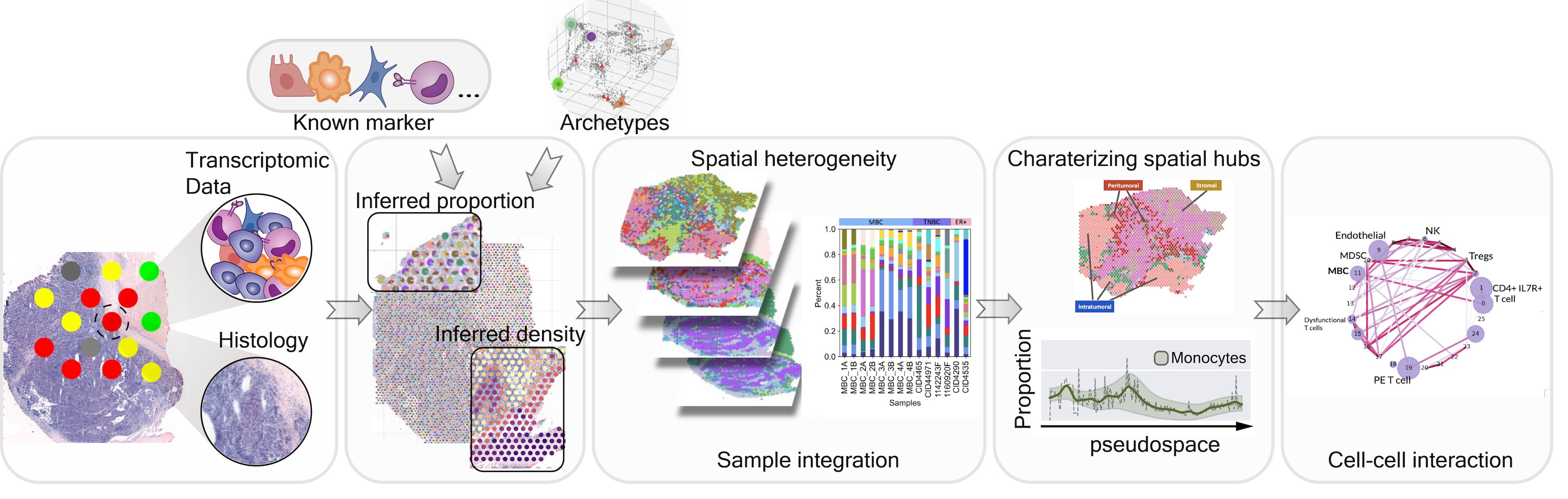 Elham Azizi on Twitter: are thrilled to share #Starfysh ⭐️ an auxiliary deep generative model for multi-modal analysis integration of spatial transcriptomic (ST) datasets and histology images, and its application