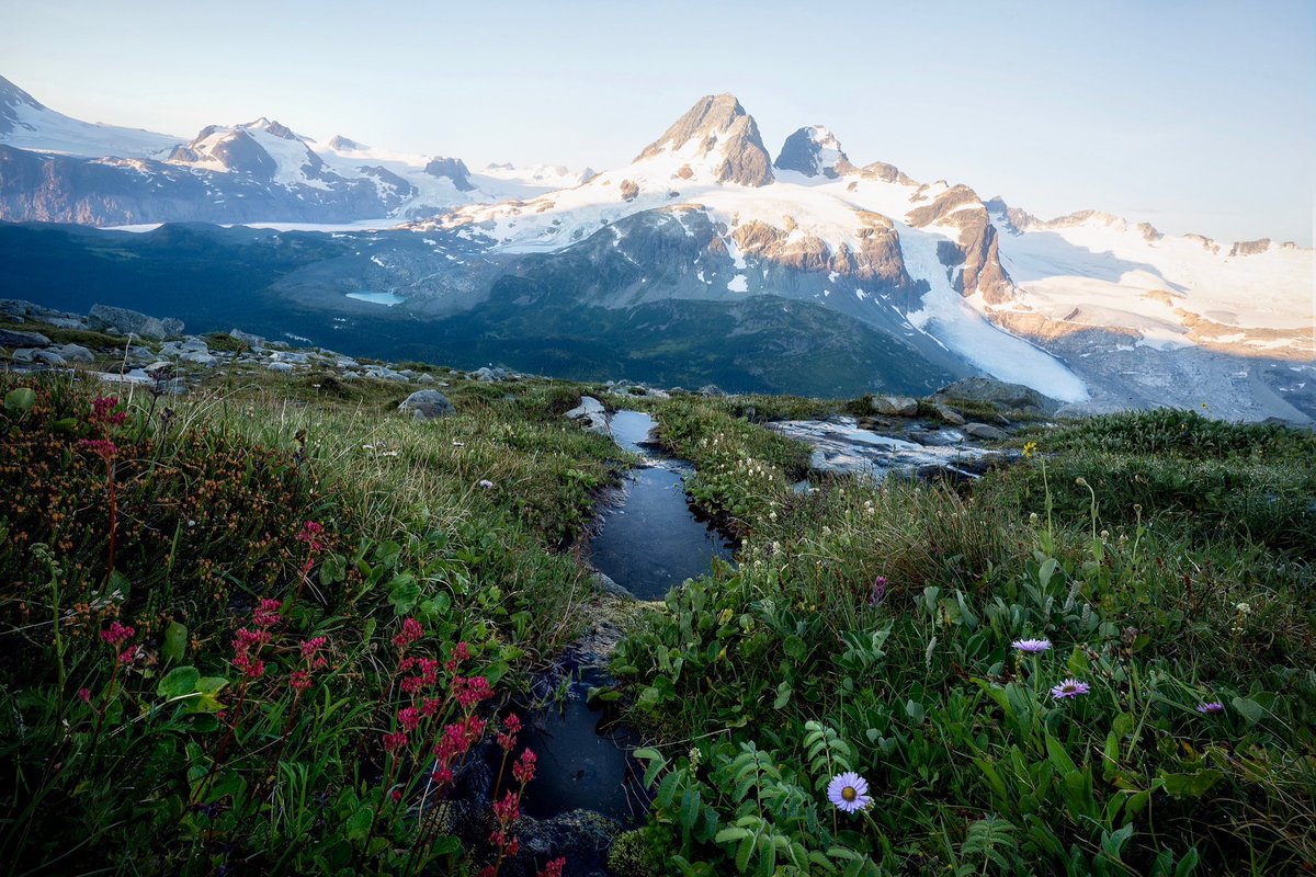Gm from a gorgeous morning in a very wild and secluded location in the BC coastal mountains. An all girls trip with <a href="/cathsimard_/">CATH Simard</a> <a href="/joelle_lb/">Joelle LB</a> <a href="/jennadixonphoto/">Jenna Dixon</a> and <a href="/MonicaJalali/">Monica | J</a>