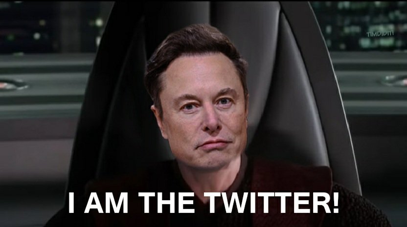 Tim Turnell tweet media