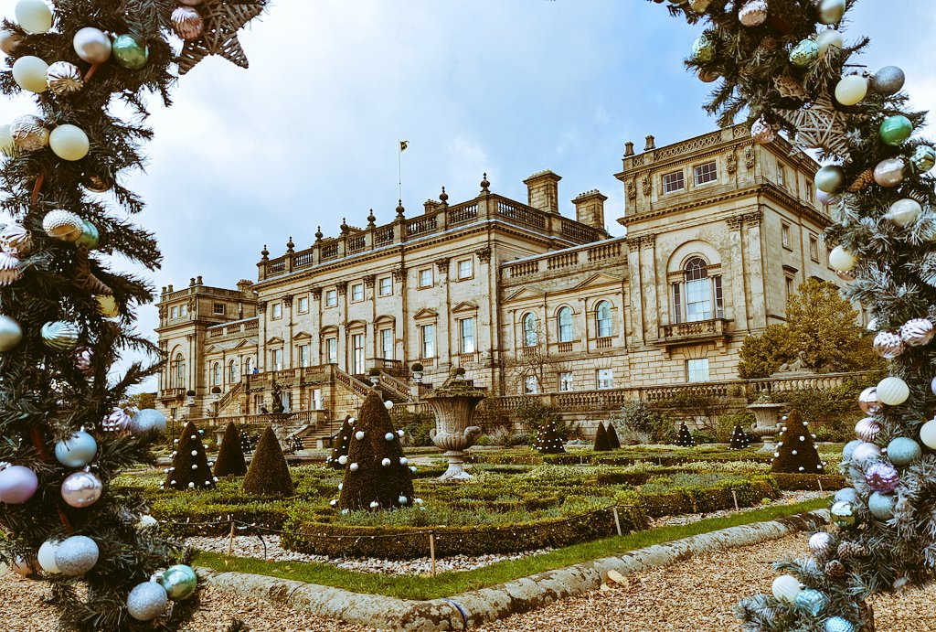 David Pearson tweet media