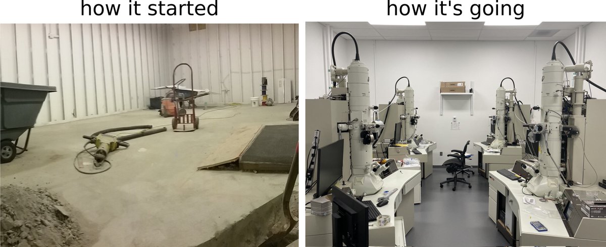 Adrian A. Wanner (@adrianawanner) on Twitter photo New beam deflection TEM facility <a href="/PrincetonNeuro/">Princeton Neuroscience Institute</a> with 4TB/hr cumulative acquisition rate for high-throughput connectomics.
Despite the pandemic, <a href="/zhihaozheng/">Zhihao Zheng</a> <a href="/ProjectVoxa/">Project Voxa</a> <a href="/Eric_Hammer_/">Eric Hammerschmith</a> TSSmicroscopy, EMQSO and the <a href="/Princeton/">Princeton University</a> team pulled it through and got it up and running. New beam deflection TEM facility <a href="/PrincetonNeuro/">Princeton Neuroscience Institute</a> with 4TB/hr cumulative acquisition rate for high-throughput connectomics.
Despite the pandemic, <a href="/zhihaozheng/">Zhihao Zheng</a> <a href="/ProjectVoxa/">Project Voxa</a> <a href="/Eric_Hammer_/">Eric Hammerschmith</a> TSSmicroscopy, EMQSO and the <a href="/Princeton/">Princeton University</a> team pulled it through and got it up and running.