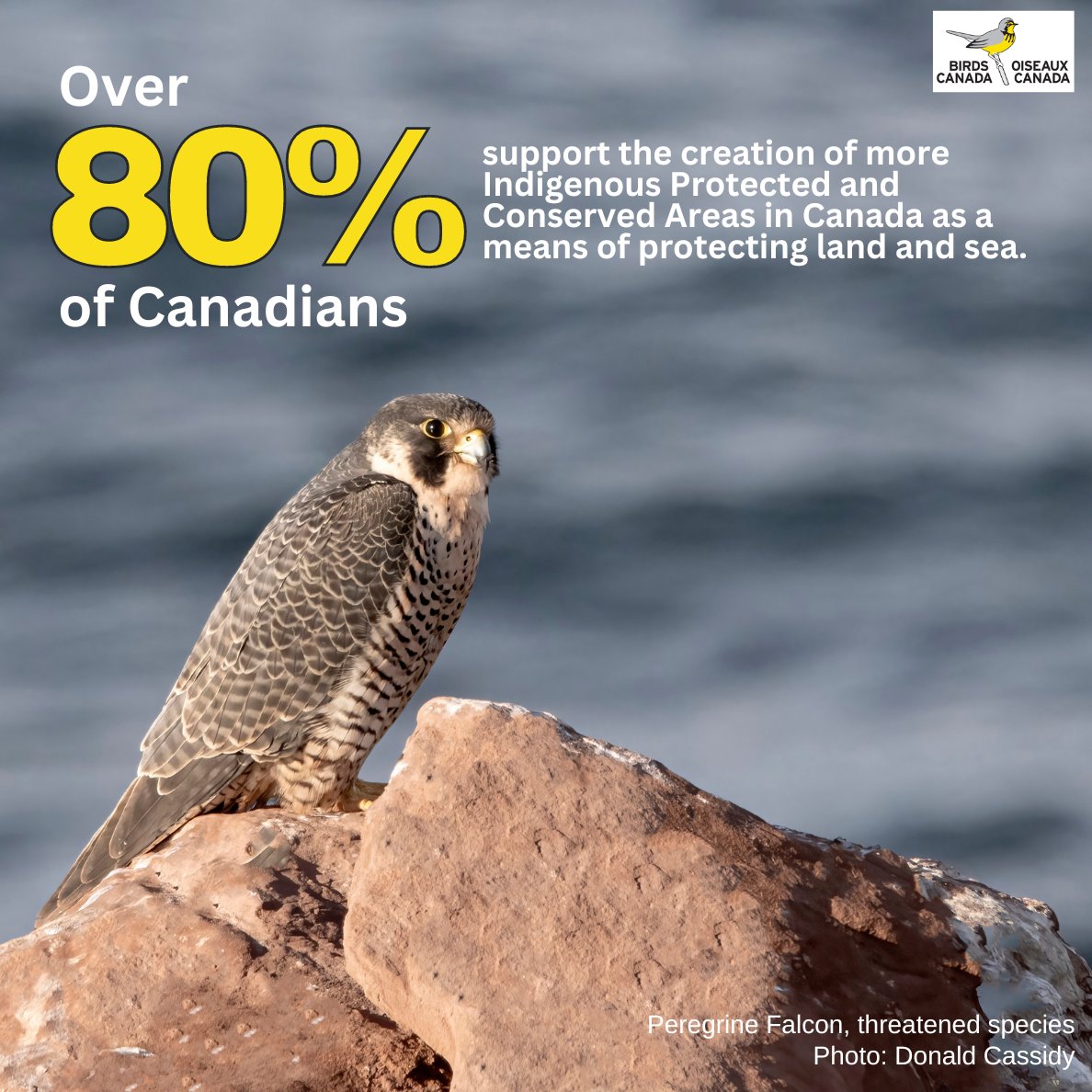 Many of the opportunities to protect land and ocean in Canada depend on efforts led by Indigenous Peoples. Supporting Indigenous-led conservation is an essential part of reconciliation.
#COP15 #NatureCOP