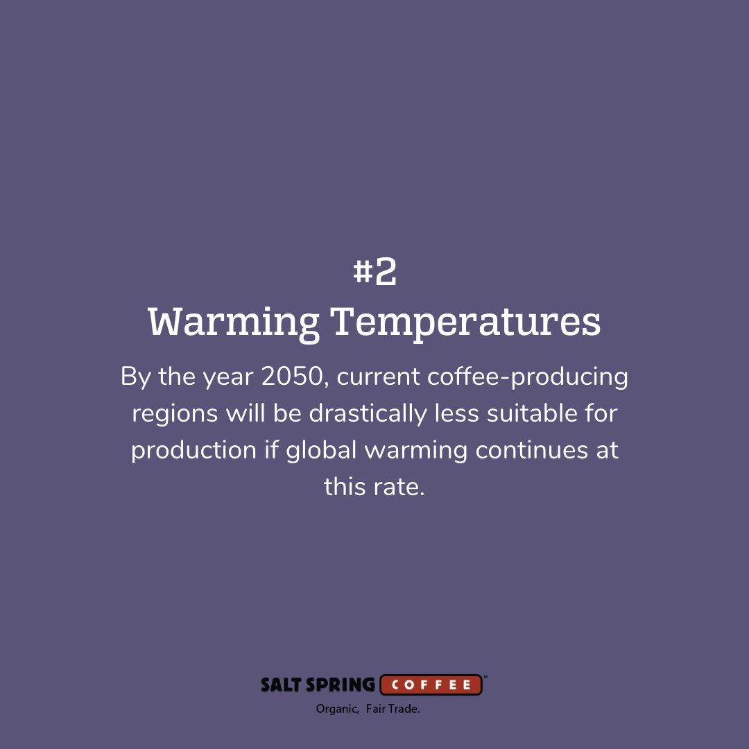 SS_Coffee's tweet photo. It is clear that climate change is affecting the way we do business across all verticals. But did you know that it's coming after your coffee too?

#BCorp #FairTrade #Sustainability #Coffee #SpecialtyCoffee #Organic #FairForLife #ClimateChange

https://t.co/rBAuiC799I https://t.co/ANorppIcqr
