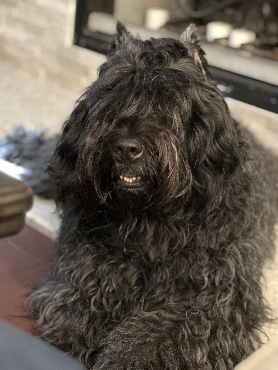 Siren 🧜🏼‍♀️ tweet media