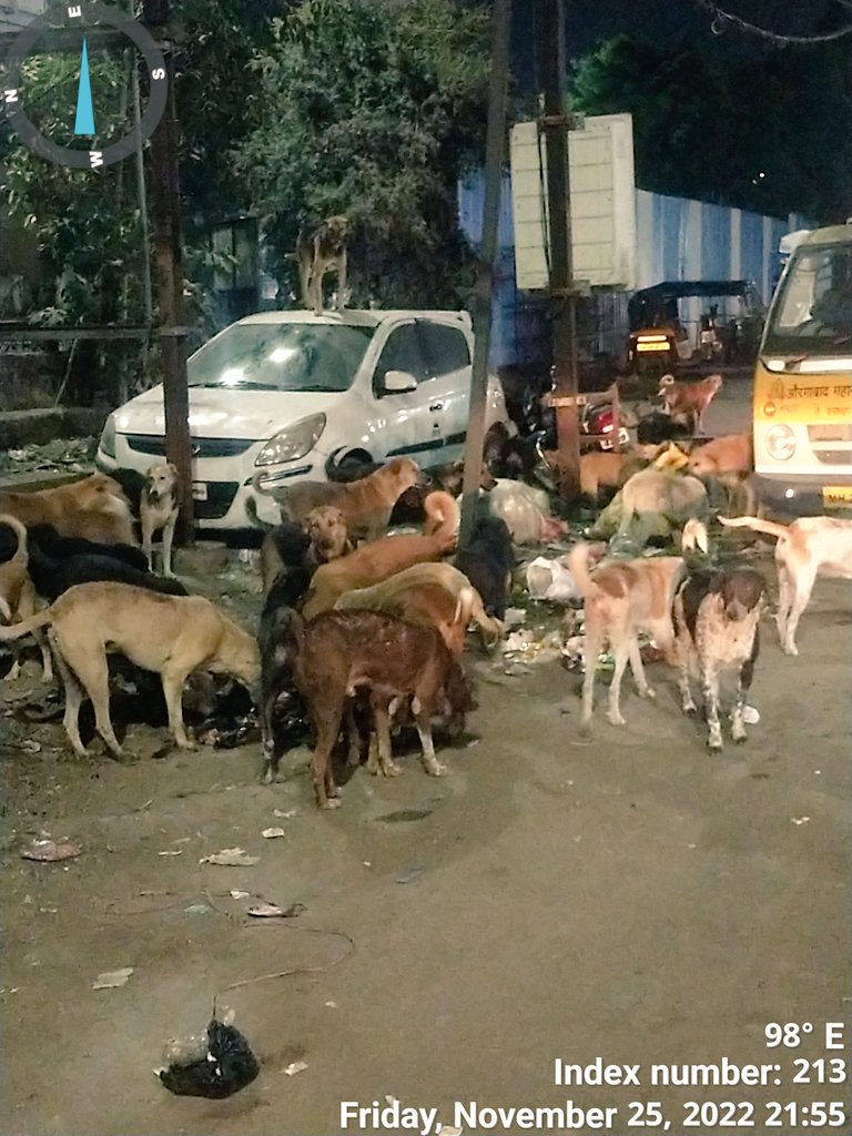 themazherpathan's tweet photo. मा. मुख्यमंत्री साहेब @CMOMaharashtra.  औरंगाबाद मध्ये सेंट्रल नाका येथे @amc_abd कार्यालय समोरच असे 327+(इतकेच मोजता अले ) कुत्रे जमा होतात आणि नागरिक त्रस्त होतात तरी प्रशासन काहीच करत नाही आपन  मदद करावे ही नम्र विनंती
@amc_abd @AurangabadSmart @TOIAurangabad @InfoMarathwada https://t.co/CtFc3dc6EV