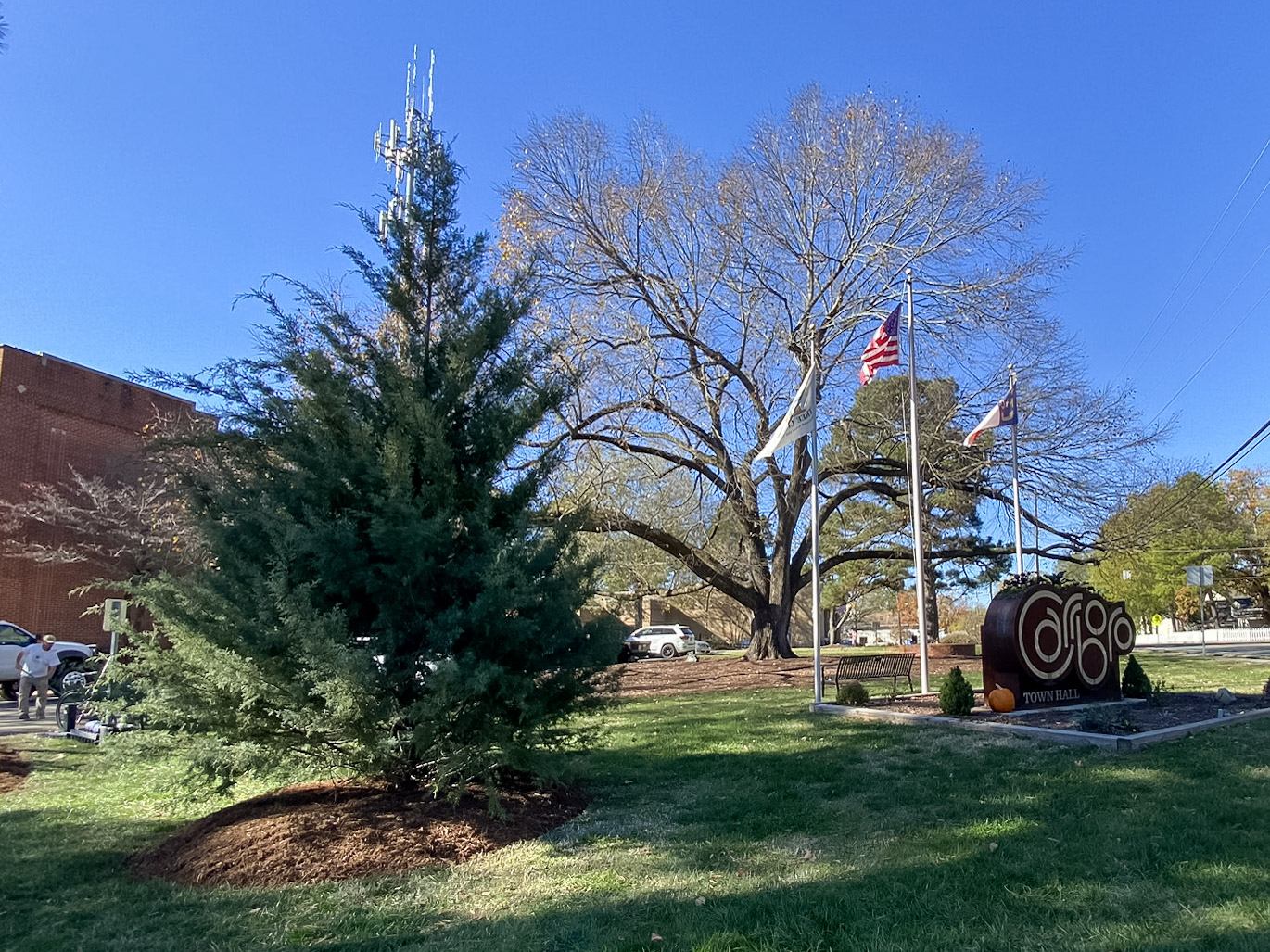 Carrboro, NC on Twitter "🎄Tree Delivery🎄 Be sure to swing by Town Hall