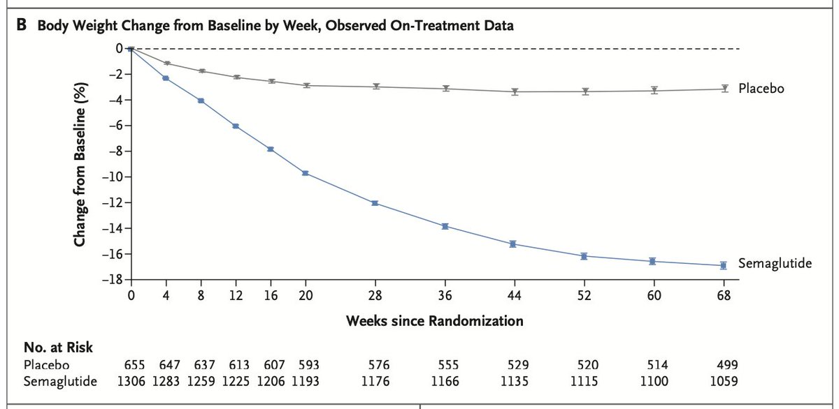 Nick Norwitz MD PhD tweet media