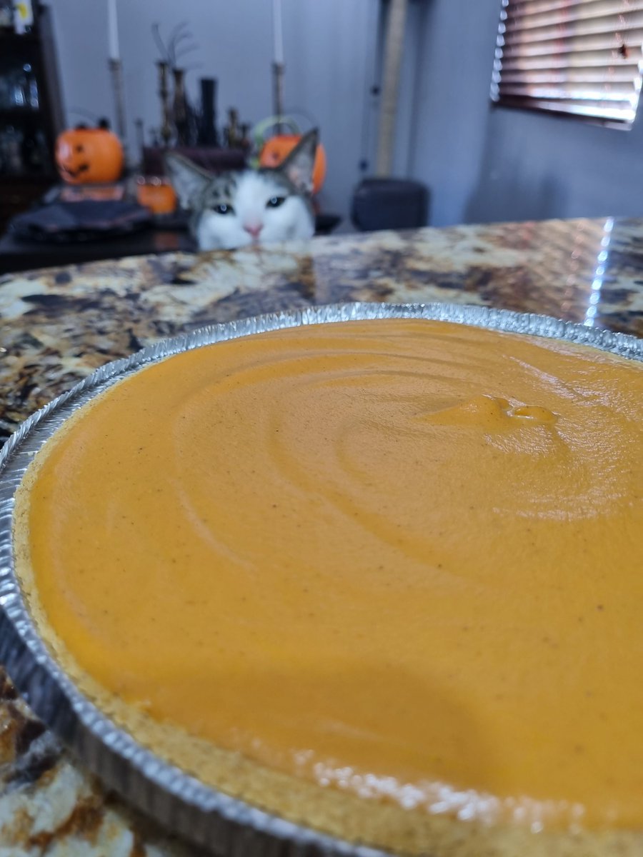 _GemmaMartinez's tweet photo. Yo queriendo tomar una foto al pay de calabaza que hice para mandársela a mi papá y este gatito de chismoso 😹🥧🎃 #LukeCatwalker
.
.
.
Si, aun no he quitado toda la decoración de Halloween. 😅🤪 https://t.co/q29OPF3t1A