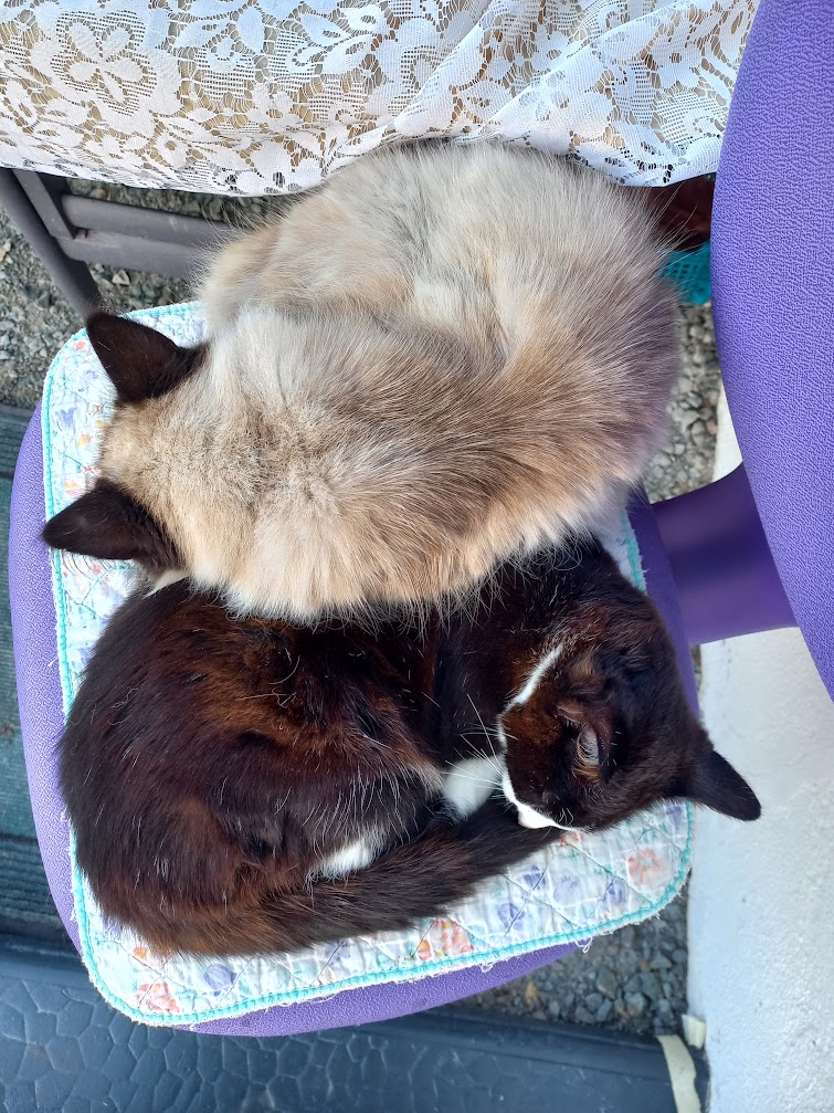 marco (@dubouchet) on Twitter photo 