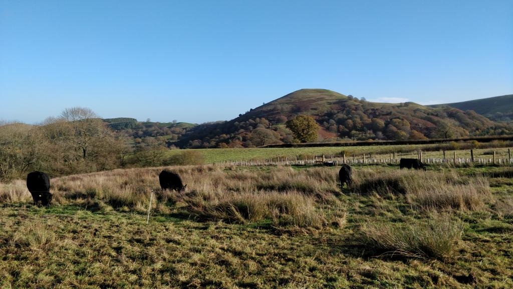 Jane38Harrop's tweet photo. Another beautiful morning in SS. So interesting to see the grass where they were yesterday, where they are today and where they were just 10 days ago. https://t.co/aE3TubWdEj