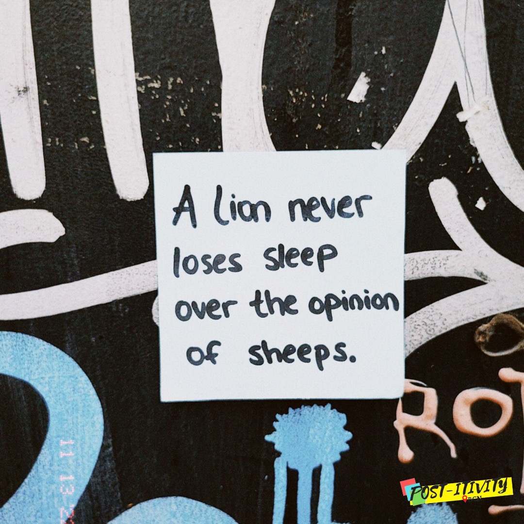 postitiivity's tweet photo. A lion never loses sleep over the opinion of sheeps 🐑🦁

#positivity #motivation #lion #sheep #quote #friday #opinion #postitivity https://t.co/c9ekXaIttp