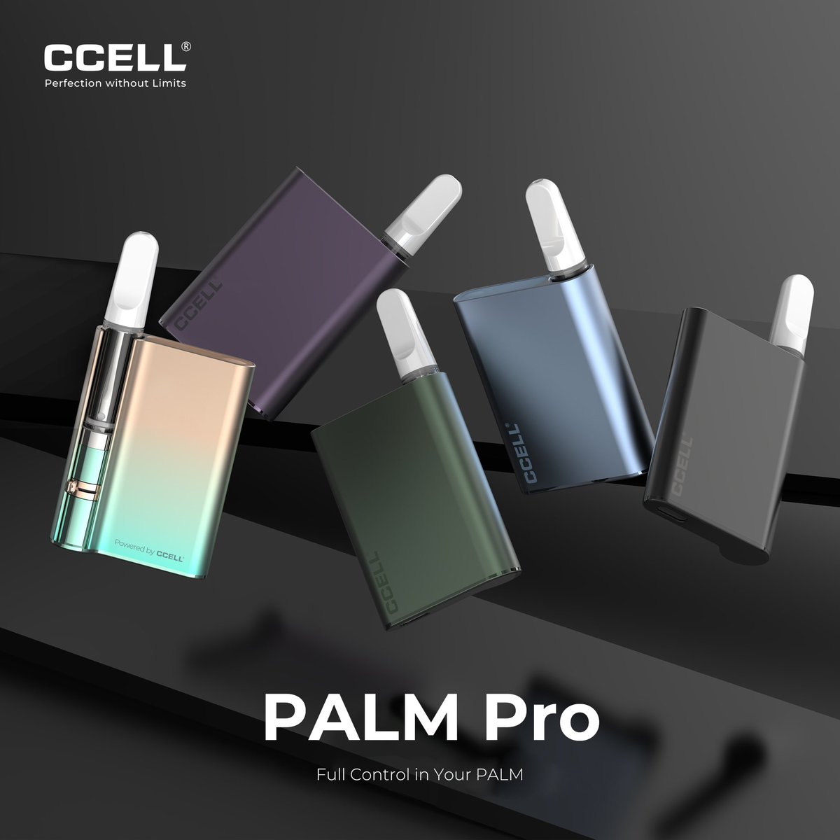 CCELLofficial's tweet photo. IT'S FINALLY HERE!
You asked for options, so we provided the ultimate solution! Meet PALM Pro! π₯
β
heat adjustment
β
airflow control
β
type-C charging port
β
battery status indicator
β
new colors
#palm #palmpro #classic #newproduct #newproduct https://t.co/7rwrgONHQ4