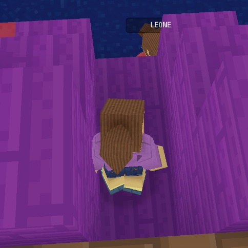 #blockcraft   Louise   3D🐎🐎🤡🤡🎠🎠 blockcraft.co/8GPxp-kR9