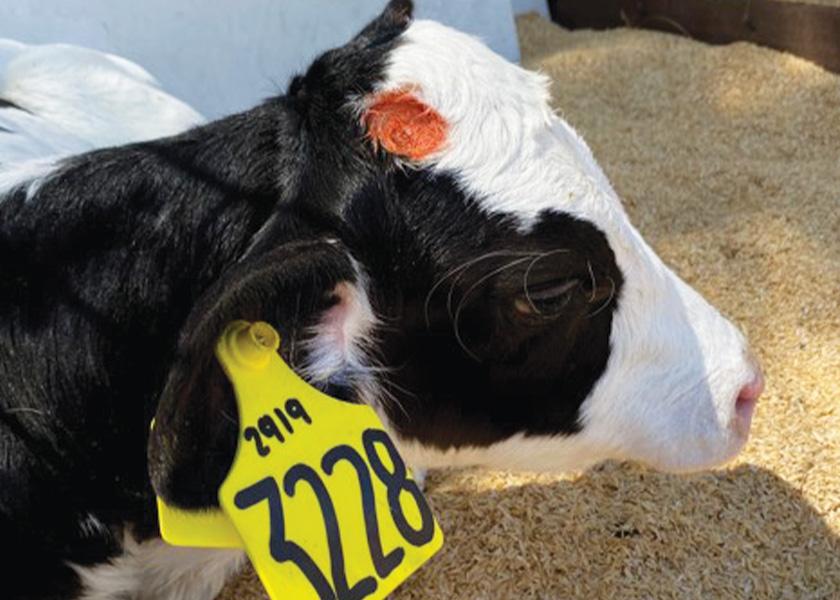 Tweet by PA Veterinary Medical Association