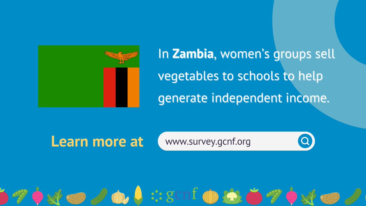 GCNFoundation's tweet image. Women are vital partners in facilitating &amp;amp; implementing many #SchoolMealPrograms, making up most of the cooking workforce. The focus on creating jobs for women is highest in all of Africa and the Middle East. Learn more at survey.gcnf.org @mohzambia @Mwandwe16 @ENNonline