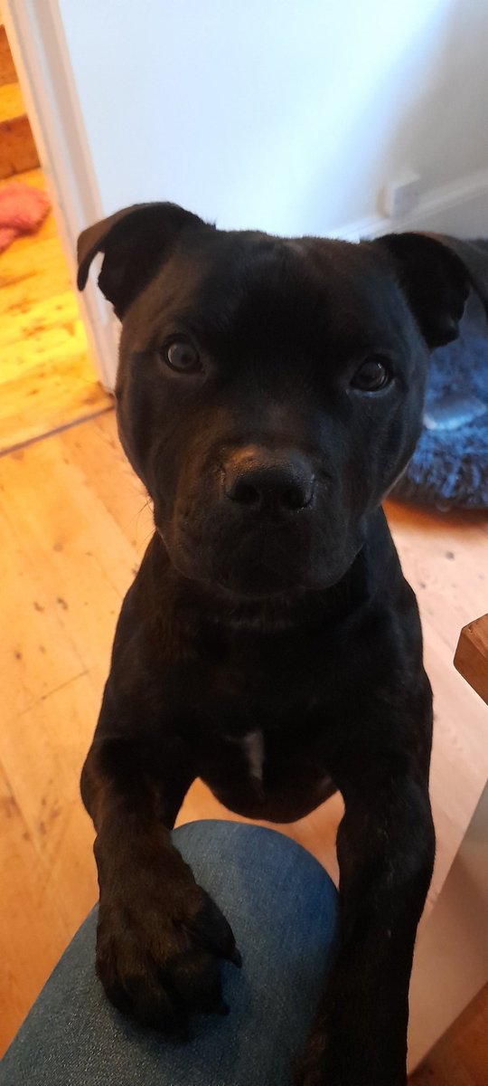 HELLO!! ITS THE WEEKEND!! I'M SO EXCITED!!