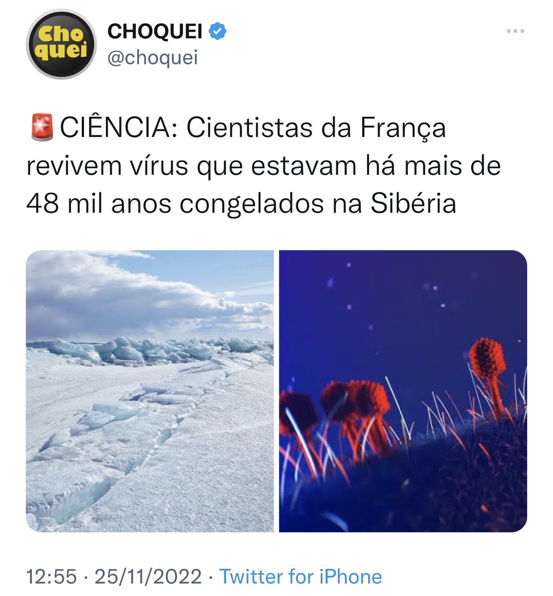 erlan_bastos's tweet photo. Eu tô apavorado com isso. O tempo das duas postagens é de quase 1 ano 😱 https://t.co/CJbhah9fQO