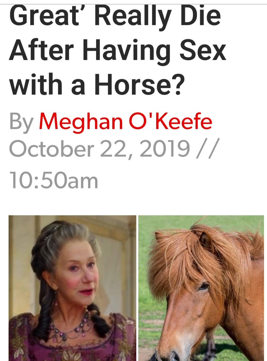 FXtravaganza's tweet photo. Poor horse  THE length a TERF will go get into a horses scrotum. https://t.co/SbtZivMBCF