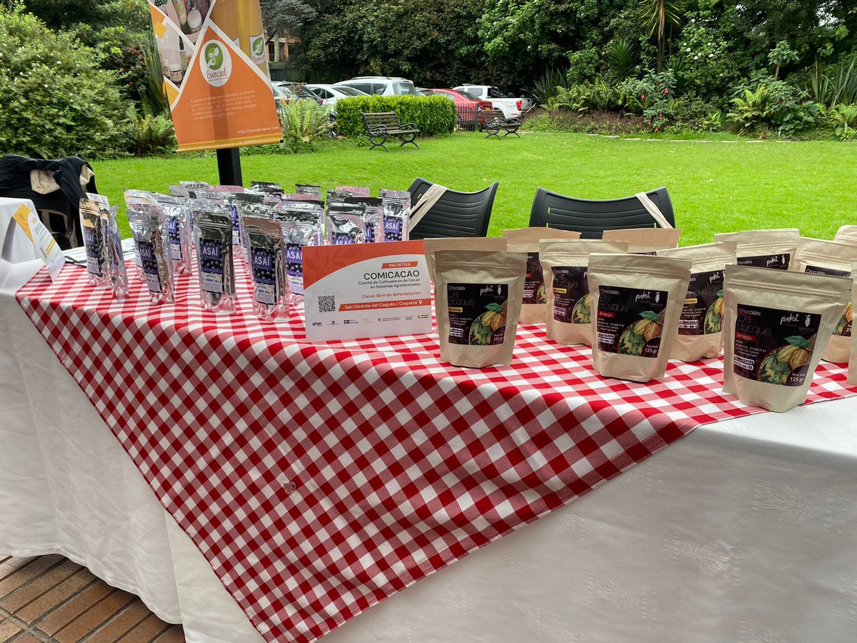 Maria Cramér tweet media