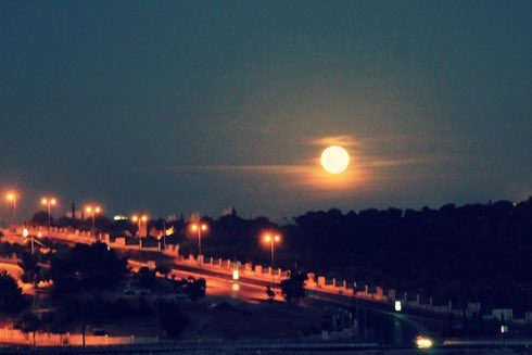 مسفر بن فرح tweet media