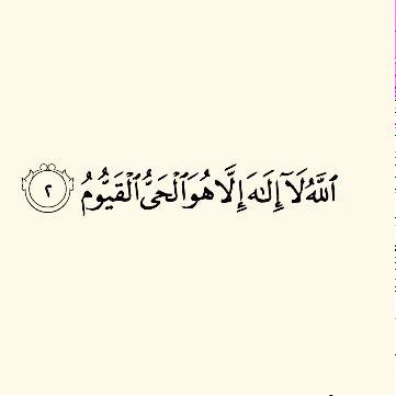 TheNobleQuran tweet picture