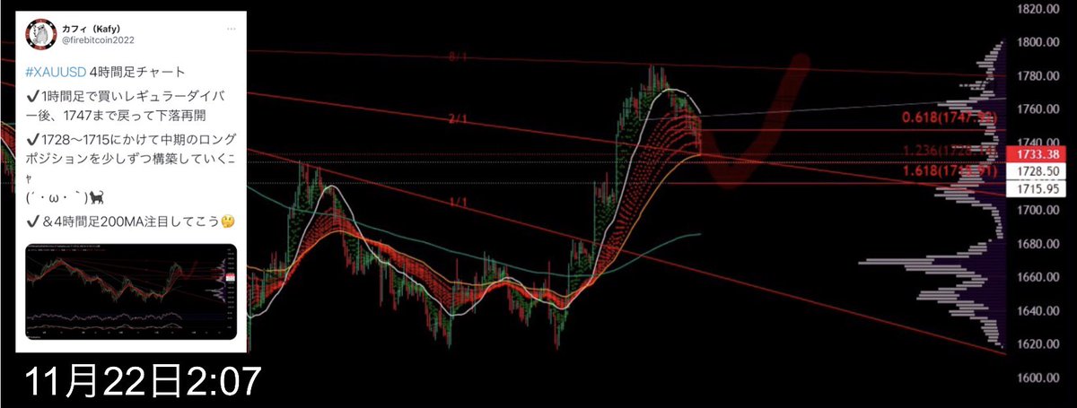 firebitcoin2022's tweet photo. カフィの見てる時間軸はこちらです。
スキャの皆さんごめんﾆｬ🐈‍⬛(´・ω・｀)

引用リツイート11/16からカフィの目線は変わってません。

❤️＆♻️ https://t.co/QT0VLrtN0z