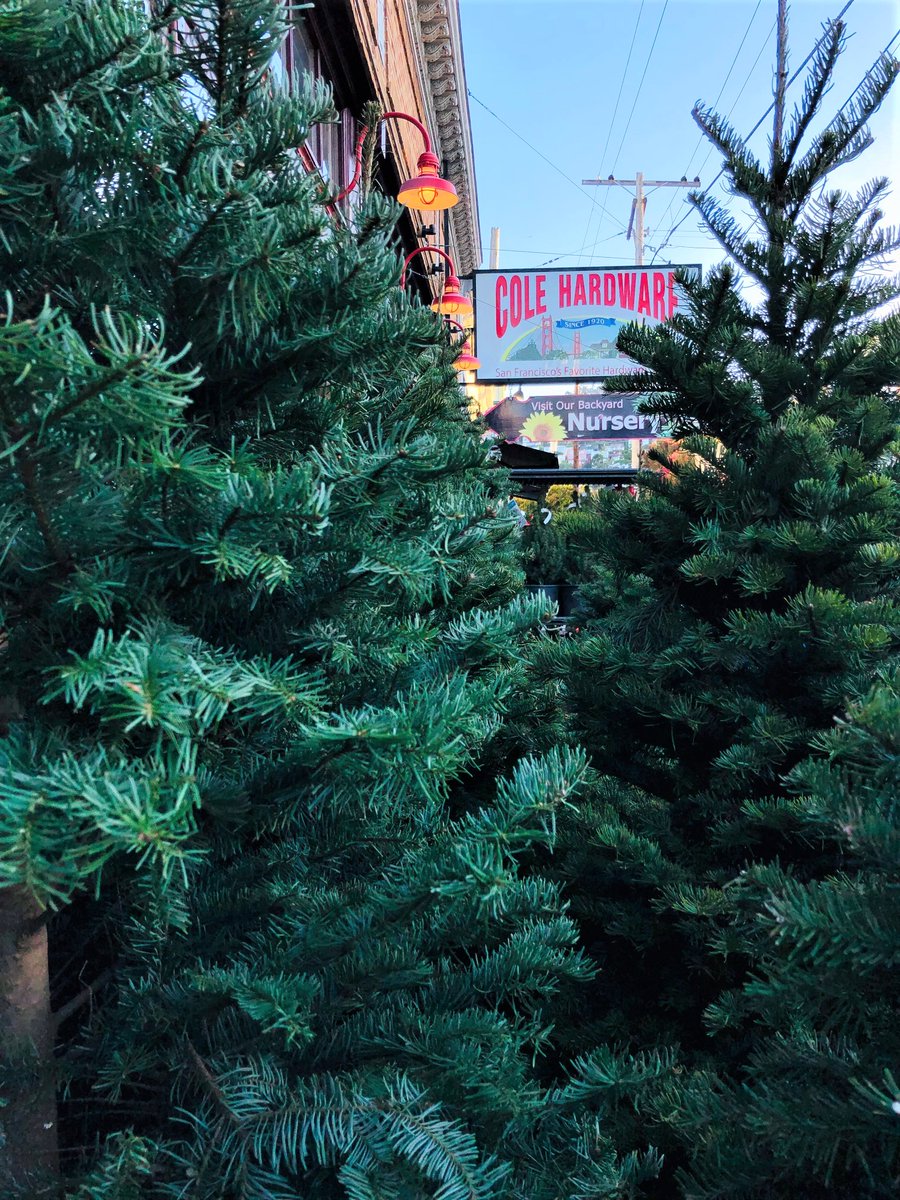 Cole Hardware tweet media