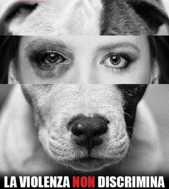 "ciò che mi spaventa non è la violenza dei cattivi; è l'indifferenza dei buoni" 
(M.L. King)