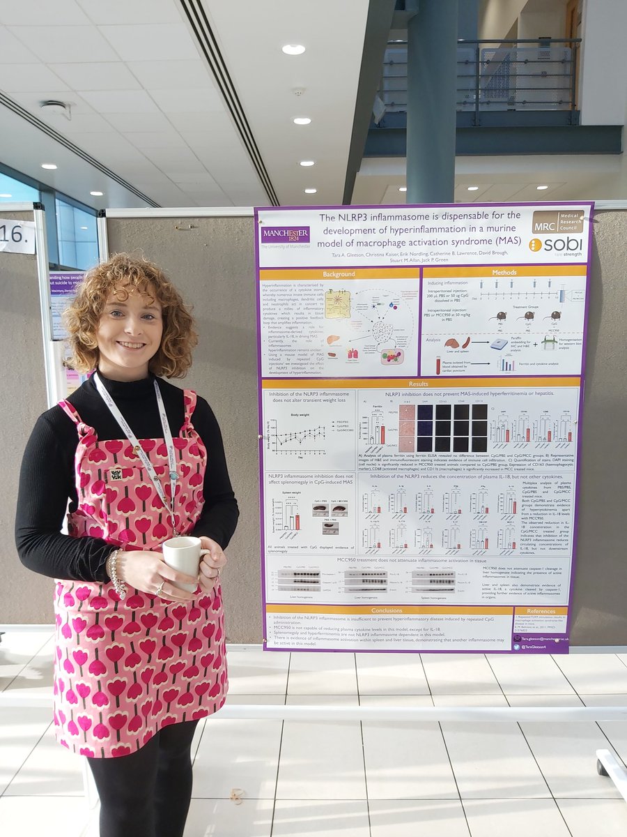 Had a great day talking about hyperinflammation while presenting my poster at the #MRCShowcase2022 today!