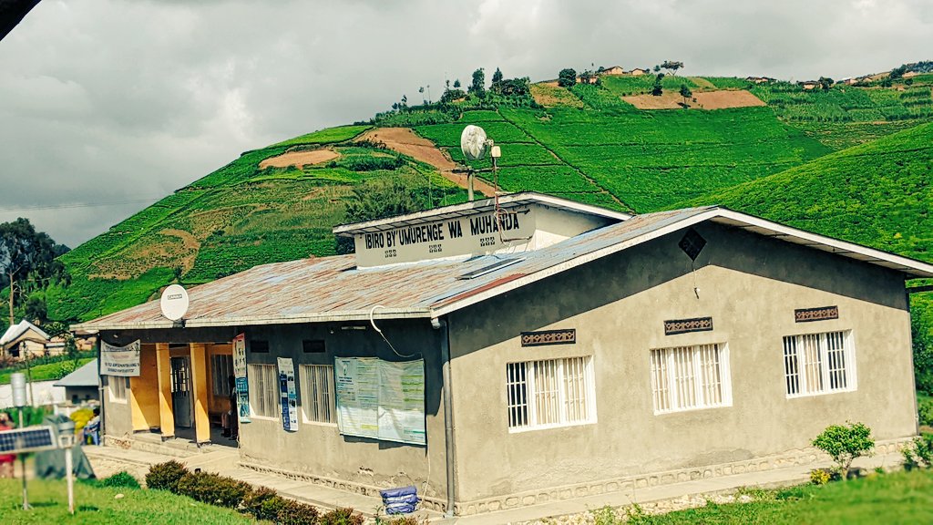 JustinNsengima's tweet photo. Ubuhinzi bw'icyayi  iwacu @NgororeroDistr.mu murenge wa #Muhandasector. Intara ya @RwandaWest ishoramari kw'isonga @RwMountainTea @HabitegekoFran1 @g_mukeshimana @P_Karangwa @JCMusabyimana @cnkusi20 @MukunduhirweBe https://t.co/7vGrUmJRl6
