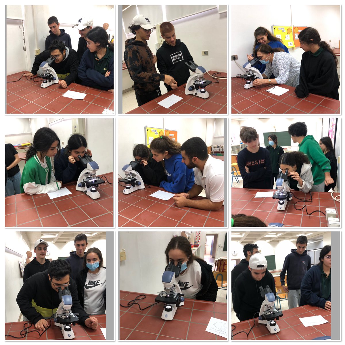 RHHS_BioDept's tweet photo. LS classes: microscopic observation of spermatogenesis in the testis of a male rabbit and folliculogenesis in the ovary of a female rabbit @RHHS_Saida https://t.co/jI2fjPbr5T