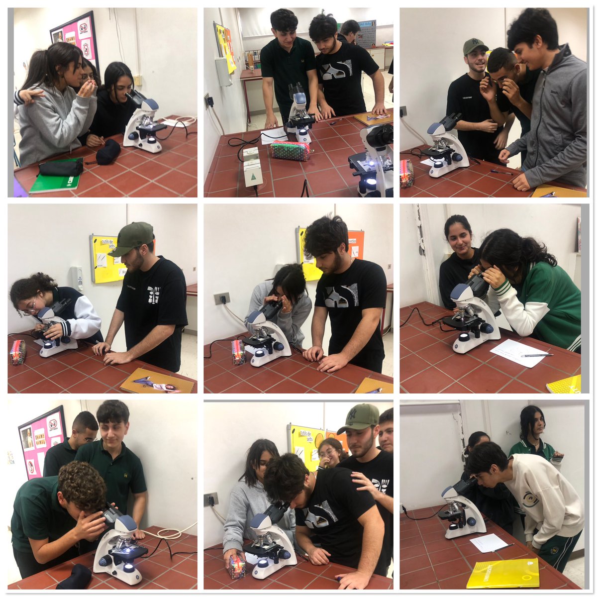 RHHS_BioDept's tweet photo. LS classes: microscopic observation of spermatogenesis in the testis of a male rabbit and folliculogenesis in the ovary of a female rabbit @RHHS_Saida https://t.co/jI2fjPbr5T