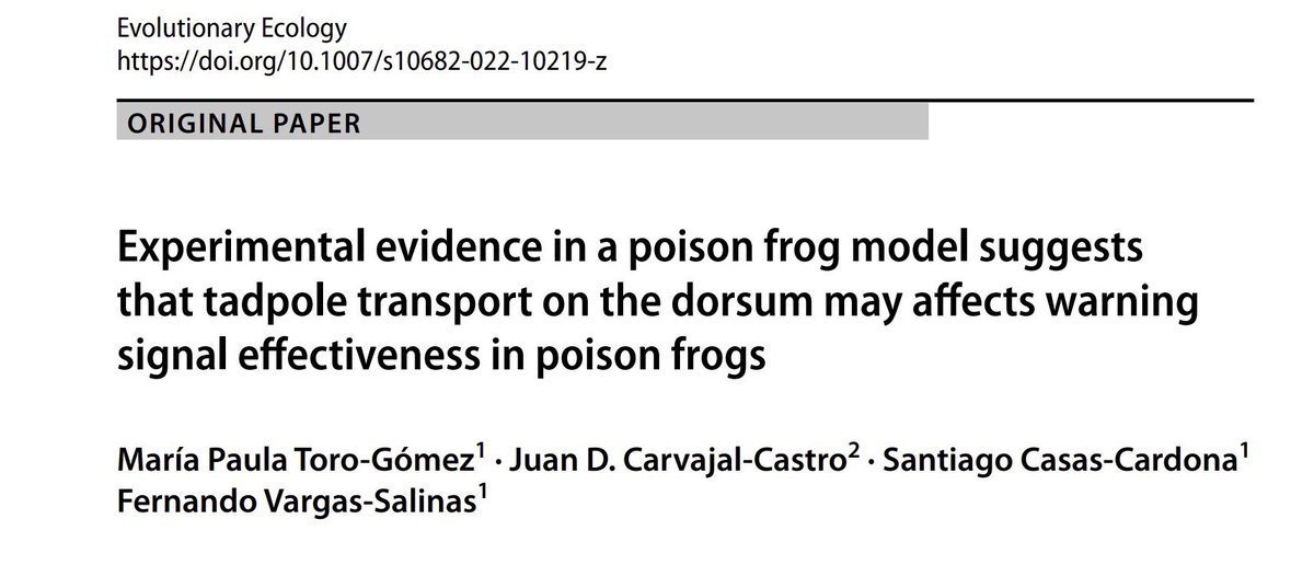 🚨Paper alert! Feliz de compartir mi primer artículo científico! Un poco sobre señalización de advertencia ⚠️y cuidado parental en ranas venenosas 🐸☠️ Junto a <a href="/carvajaljcastro/">Juan Carvajal-Castro</a> <a href="/SantiCasasC14/">Santi Casas</a> y #Fernando Vargas-Salinas #CienciaCriolla #EECO <a href="/evoecology/">Evolutionary Ecology</a> 
link.springer.com/article/10.100…