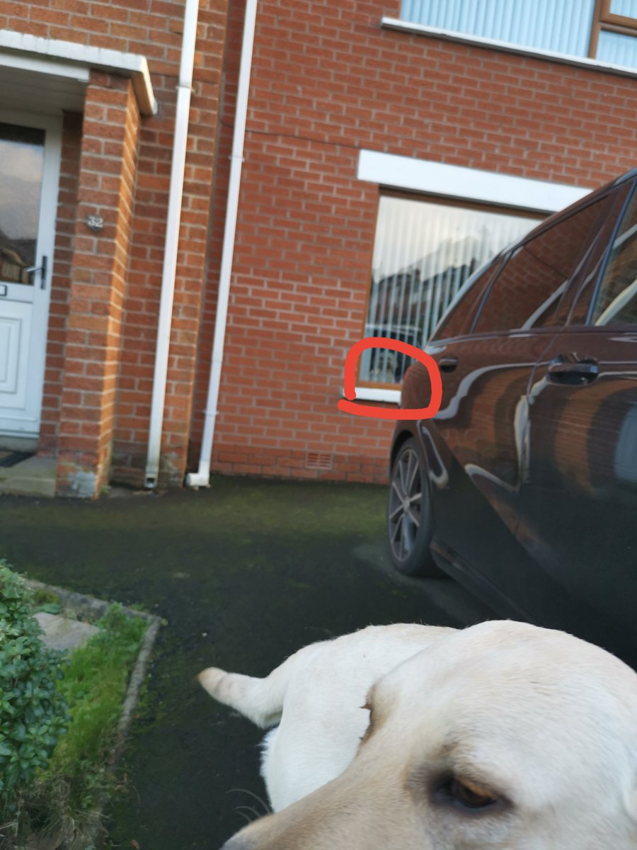 Gerardfenton1's tweet image. I got caught playing around with the bitch from next door!🐶
Wee man's raging 😡
Thatll be my good shoes getting chewed tonight 👟
#dirtydog #guilty #twotimer #infidogity #loosepooches