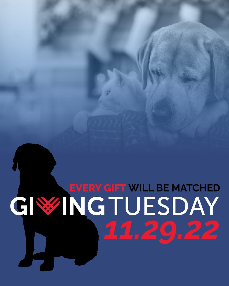 Mark your calendars! On #GivingTuesday, EVERY gift will be matched. If you've been waiting for the best time to give, this is it.