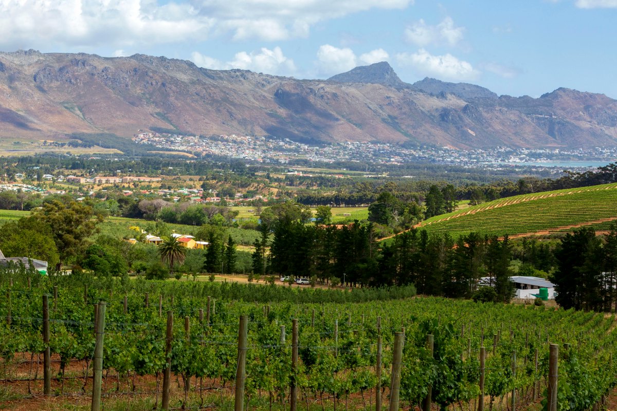 Looking down from the farm to where the mountains meet the ocean.