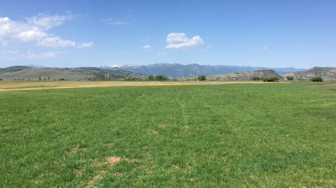 NRCS_Utah's tweet photo. No till farming saves you money and time, improves #soilhealth and increases wildlife habitat. #Keepthestubble #NoTillNovember #Donotdisturb https://t.co/qN0W5R2ZV1