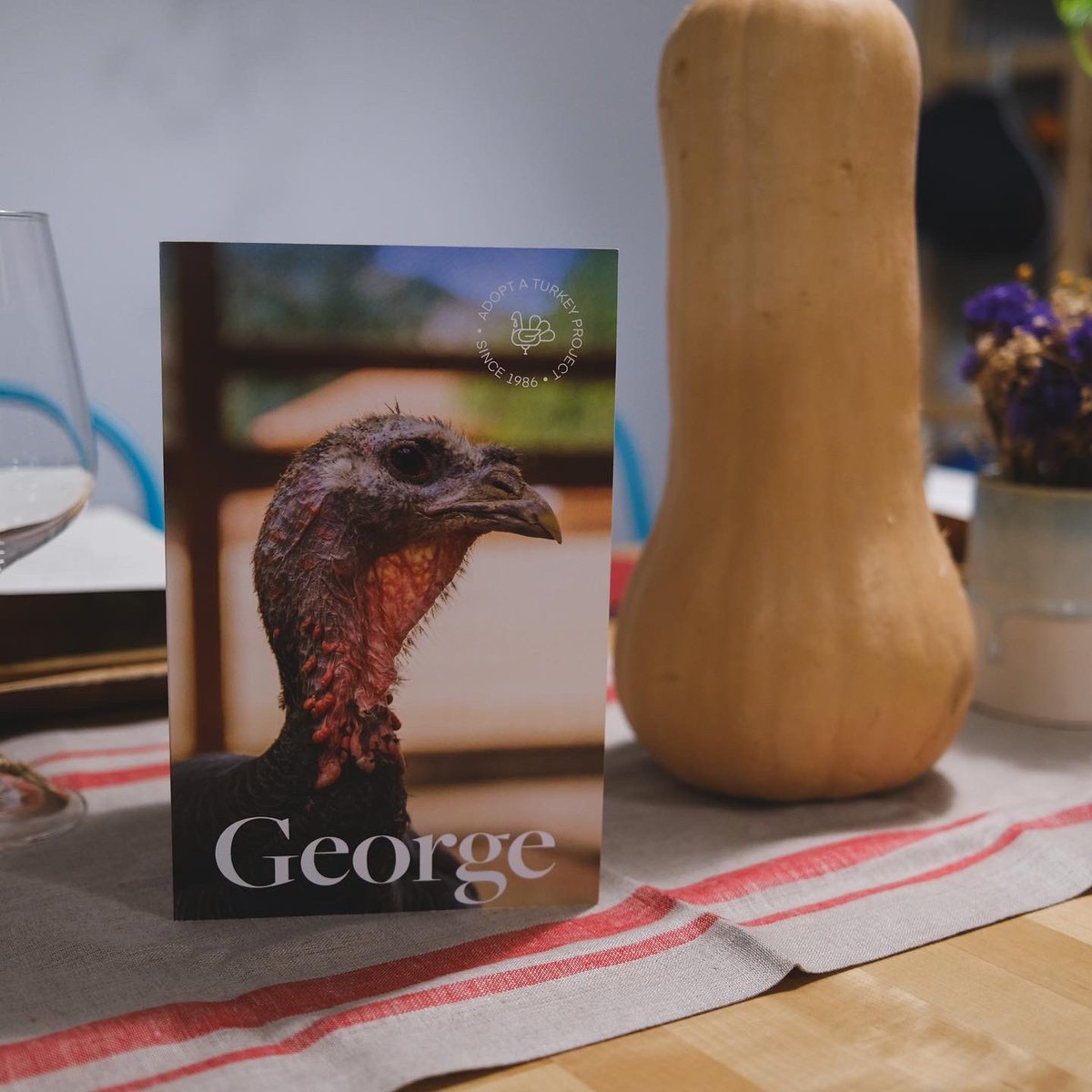 Vegan Tweeter (Alex) tweet media