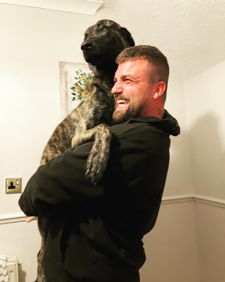 Mel12340117277's tweet photo. Friday cuddles 🥰
#dutchshepherd #dutchsheperdpuppy #dutchshepherds #dogsoftwitter #doglover #doglife🐾 #doglifeisgood #dogloversofinstagram #mali #malinois #malinoisherderteam #greyjumper #funnydog #brindle #brindledog #kisses #dogloversclub #friyay #friday https://t.co/Ss6QydUQS8