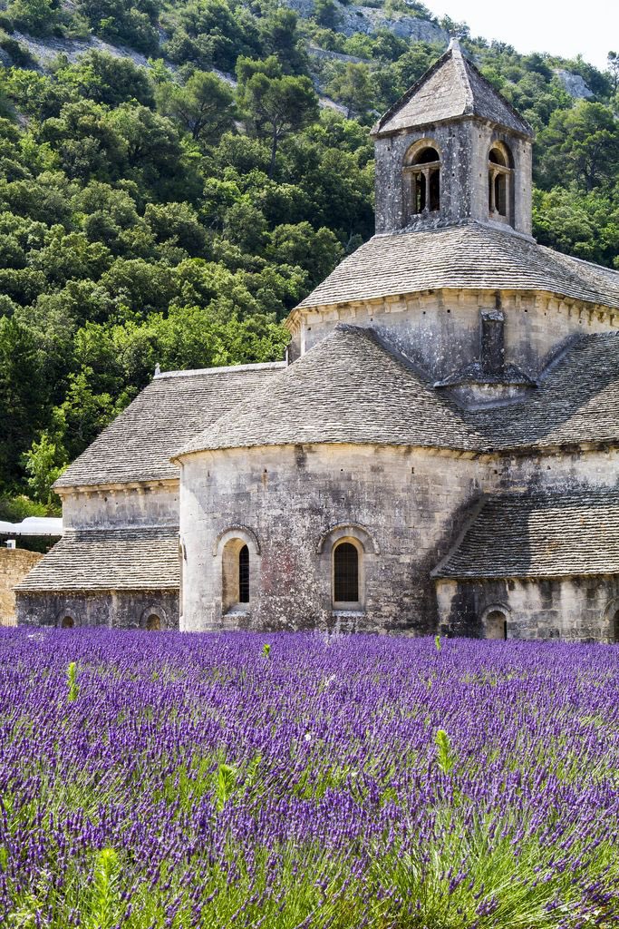 Senanque Abbey #Provence #France