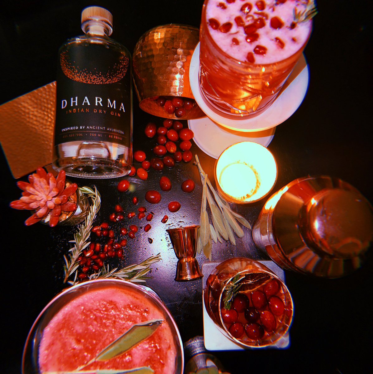 Dharma Indian Dry Gin tweet media