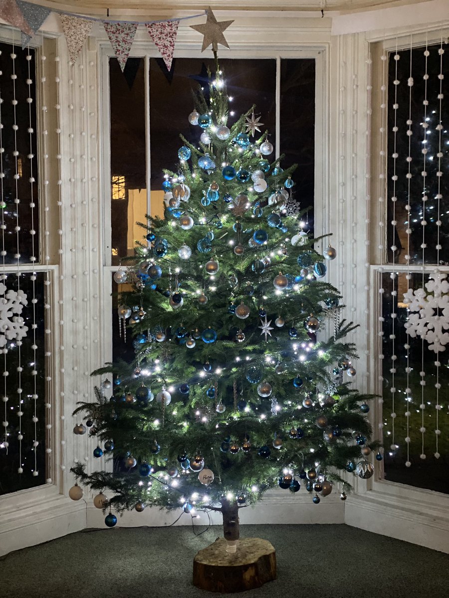 musicanlis's tweet photo. Hazeldene House looking very festive now the tree has arrived @BromsHazeldene https://t.co/7WBEIH7yT4