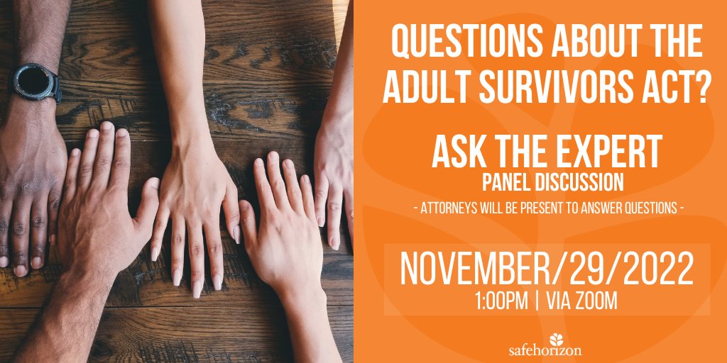 Safe Horizon tweet media