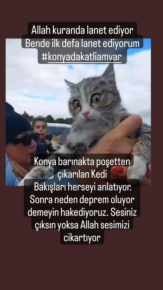 #Konyadakatliamvar