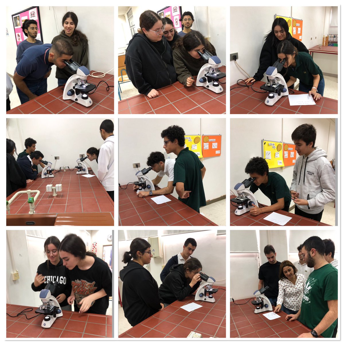 RHHS_BioDept's tweet photo. Classe SV : observations microscopiques d'une coupe de testicule de lapin et d'une coupe d'ovaire de lapine avec divers follicules ovariens @RHHS_Saida https://t.co/aiZCMNwLa1
