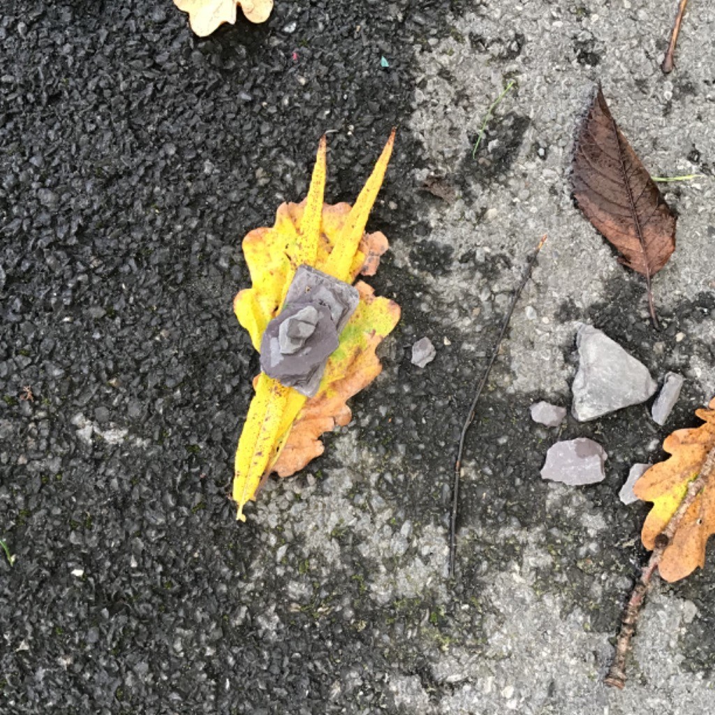 laurai150's tweet photo. Class 1 have been inspired by artist Andy Goldsworthy to create artwork using natural material. https://t.co/UpCrzoicfp