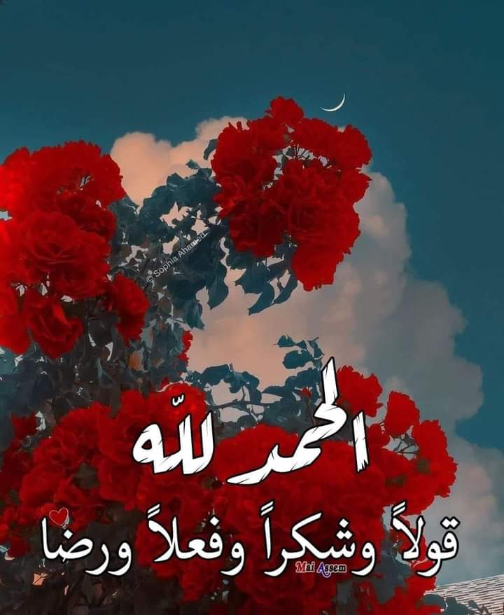 brahim13khalil's tweet photo. @Alsharway @WimShakespeare https://t.co/GozpE1bv4C