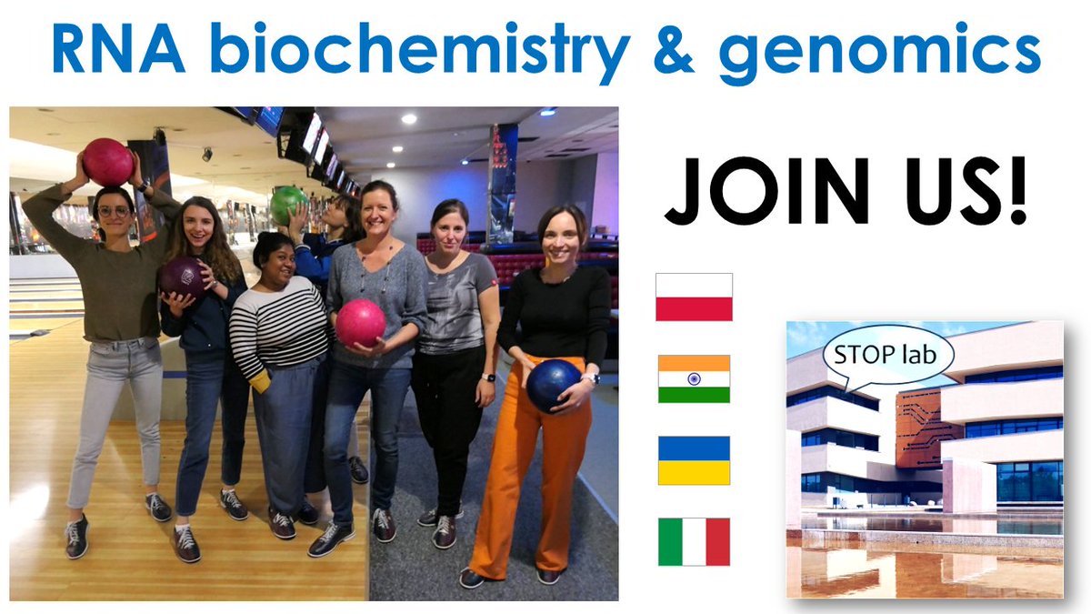 Kinga Kamieniarz-Gdula🇺🇦#SlavaUkraini #NCNtoTlen (@stoplabpi) on Twitter photo Please RT: #Hiring 2 positions in our lab - #postdoc and research assistant #RA to form biochemistry arm of the lab -> multipronged approach to understand crosstalk of 3' processing and transcription termination in APA. <a href="/ERC_Research/">European Research Council (ERC)</a> funded! ibmib.amu.edu.pl/wp-content/upl… Please RT: #Hiring 2 positions in our lab - #postdoc and research assistant #RA to form biochemistry arm of the lab -> multipronged approach to understand crosstalk of 3' processing and transcription termination in APA. <a href="/ERC_Research/">European Research Council (ERC)</a> funded! ibmib.amu.edu.pl/wp-content/upl…