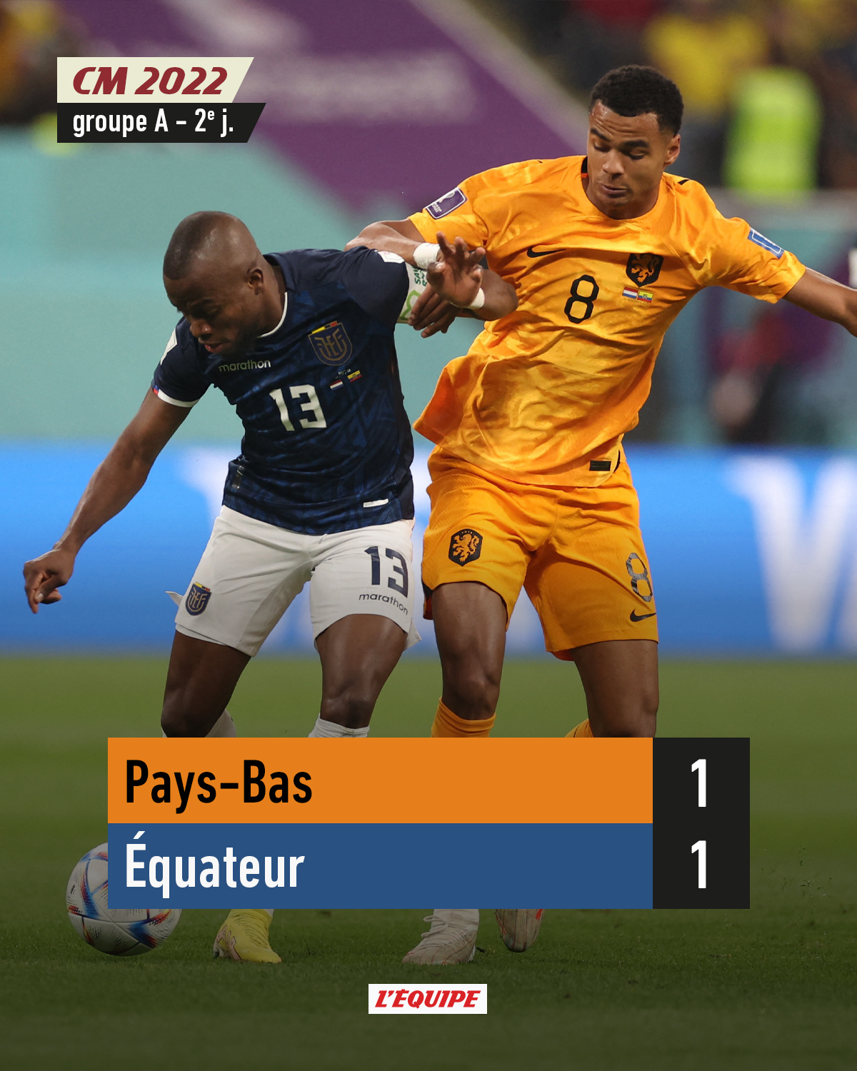 Pays-Bas – équateur