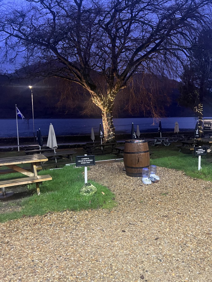 willfrew's tweet image. Peaceful